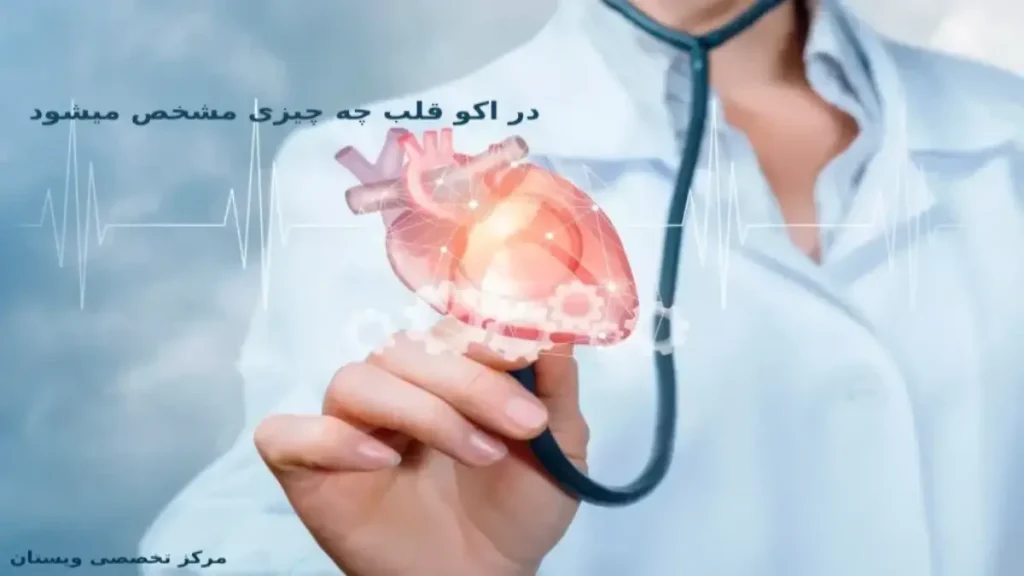 تفاوت اکو ونوار قلب ویستان تفاوت اکو ونوار قلب