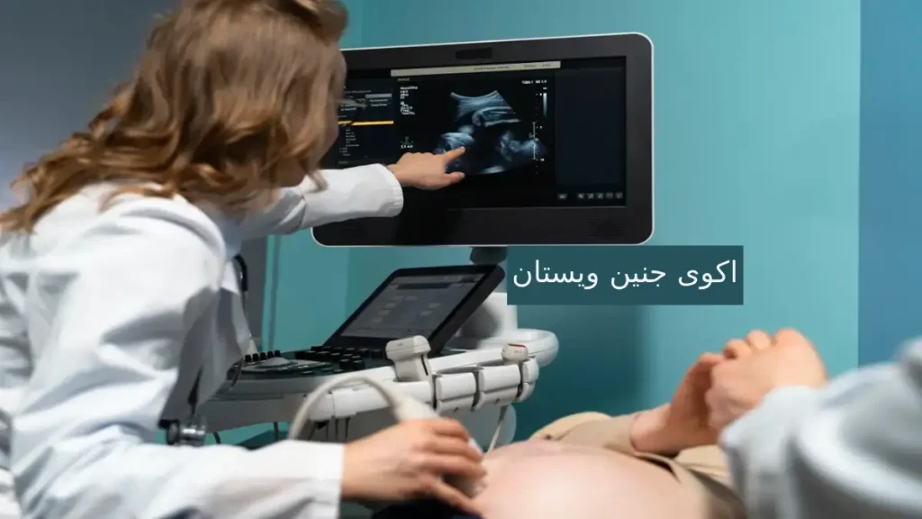 اکو قلب جنین ویستان اکو قلب جنین