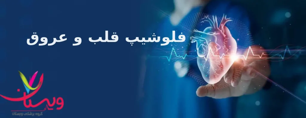 فلوشیپ قلب و عروق کلینیک ویستان فلوشیپ قلب و عروق