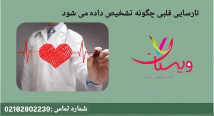 معرفی آزمایشها و تصویربرداریهایی که عملکرد و ضعف قلب را تشخیص میدهند نارسایی قلبی چگونه تشخیص داده میشود؟